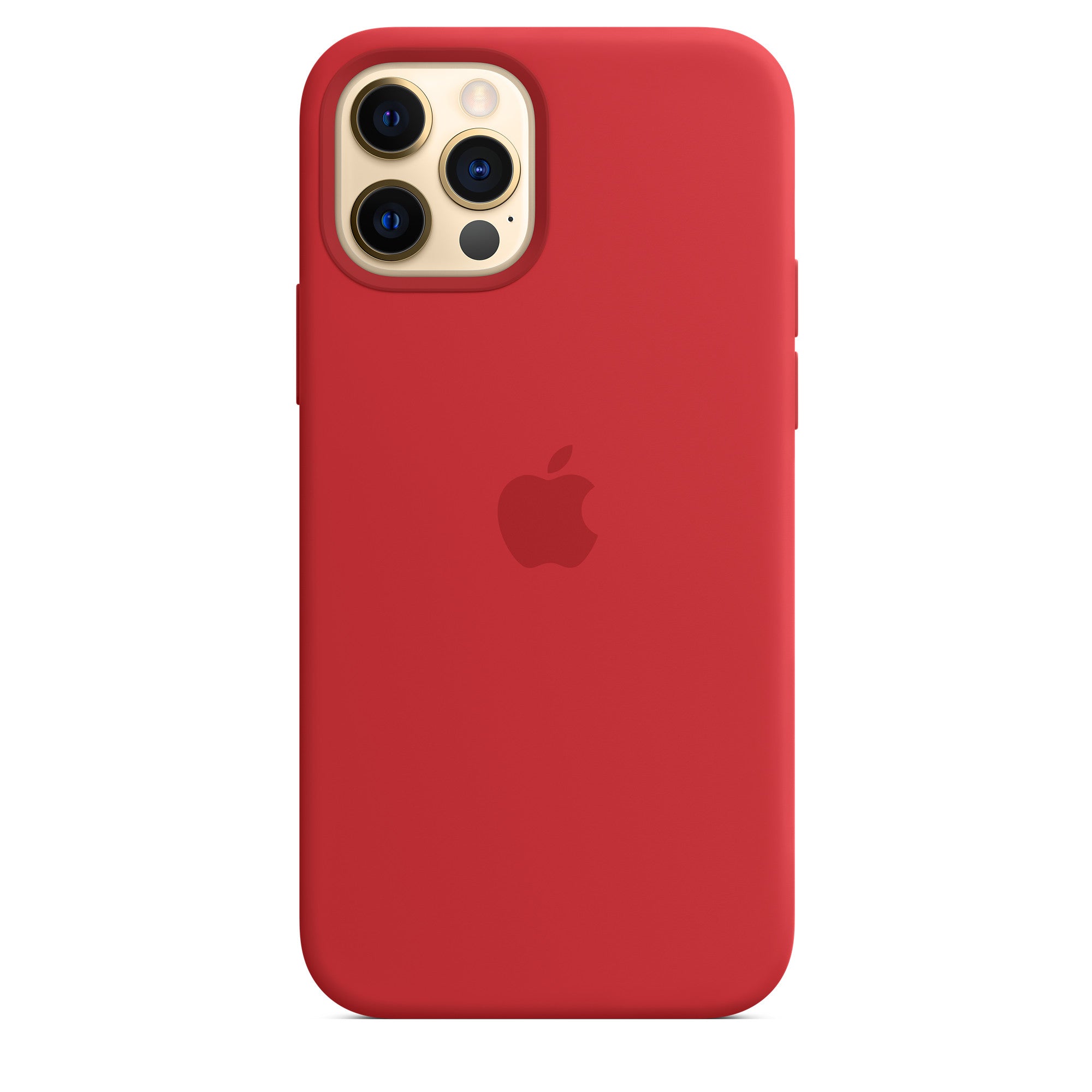 iPhone 12 Pro Max Case